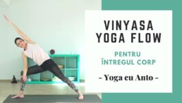 vinyasa yoga flow 1