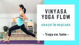 vinyasa yoga - gratie in miscare