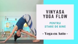 vinyasa yoga flow