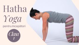 yoga pentru incepatori - clasa 1