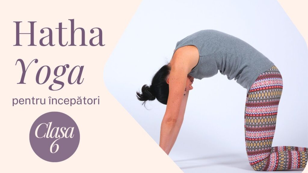Hatha Yoga pentru începători - Clasa 6