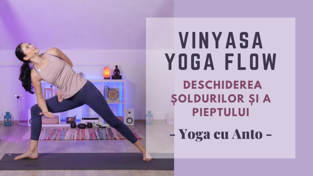 Vinyasa Yoga Flow